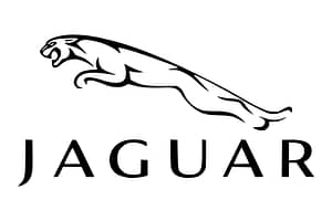 Jaguar Naming